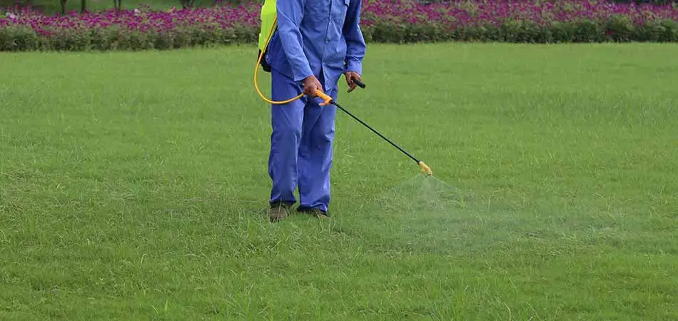 Experienced team member applying the standard chemical fertilizer in the backyard of a Rochester homeowner.