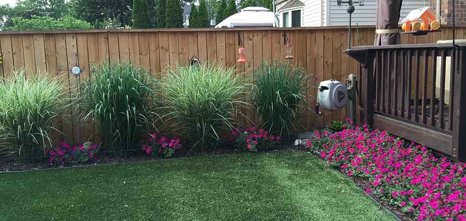 Lush backyard of a homeowner in Troy, who is receiving fertilization and weed control services from Sunnydale Lawn Care.
