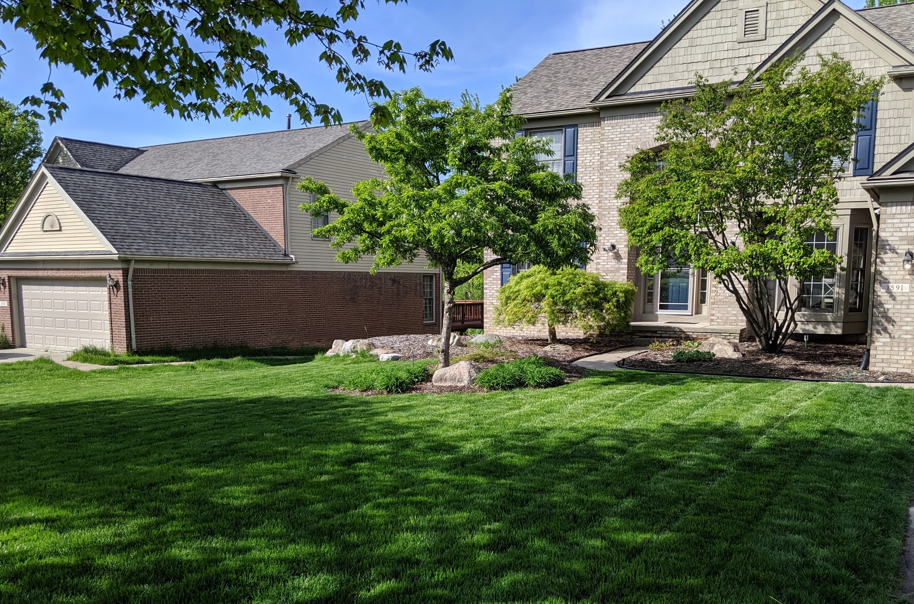 Landscape hedges and shrubs of a Troy property that's receiving trimming and pruning services from Sunnydale Lawn Care.