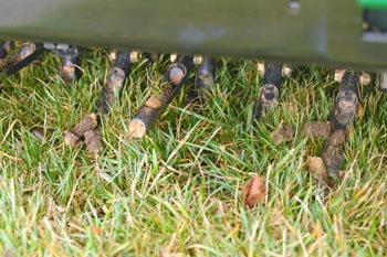 A lawn being aerated by Sunnydale Lawn Care in Troy, MI.