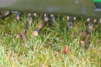 A lawn being aerated by Sunnydale Lawn Care in Troy, MI.