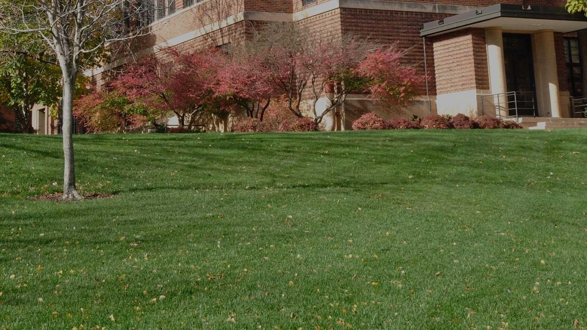 A large commercial property in Rochester, MI that we treat with fertilizer and weed treatment 6 times a year.