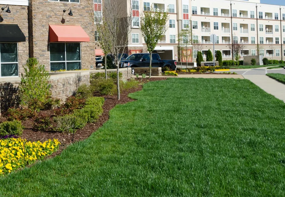 Commercial property in Troy, MI that receives regular ongoing lawn care services