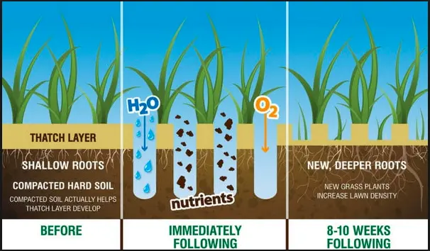 Aeration